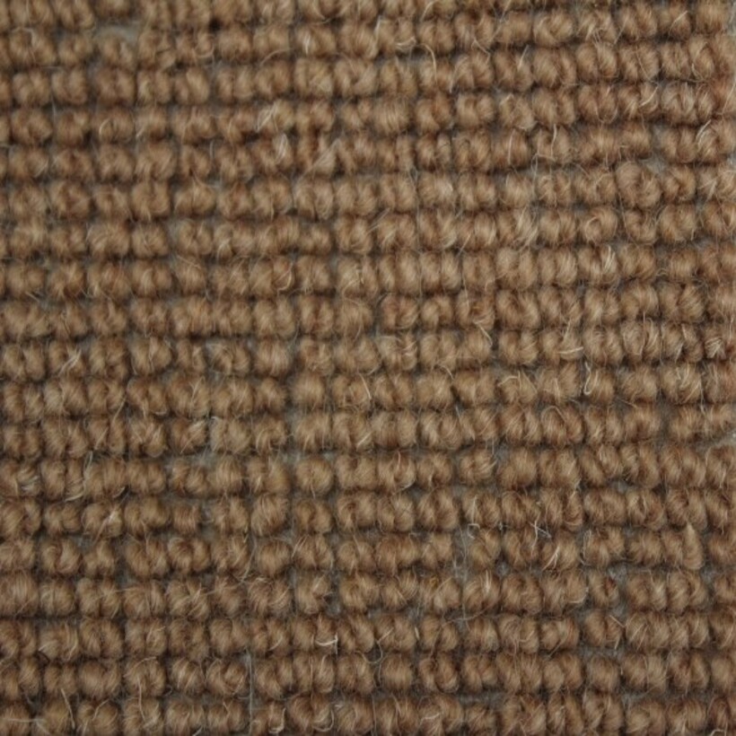 Biscuit